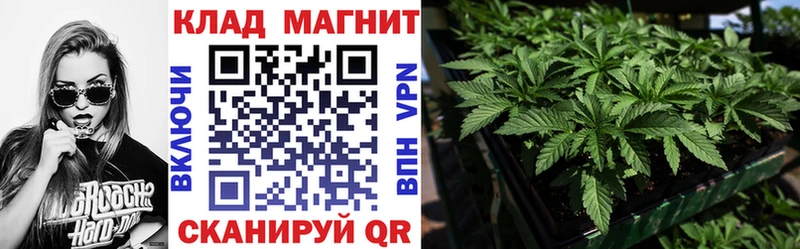 Купить наркоту Козьмодемьянск Cocaine  А ПВП  ГАШ  Конопля  Мефедрон 