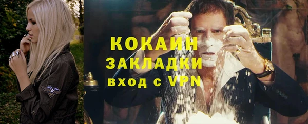 крисы Баксан