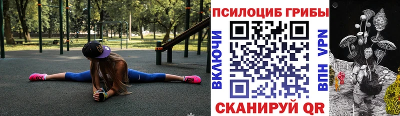 Галлюциногенные грибы мицелий цена наркотик Козьмодемьянск